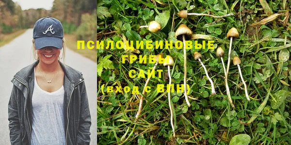 винт Михайловск