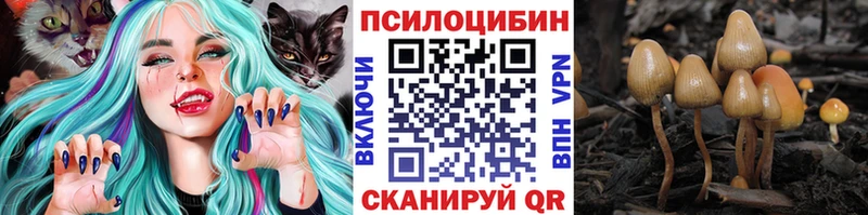 где купить наркоту  Дорогобуж  Псилоцибиновые грибы Magic Shrooms 
