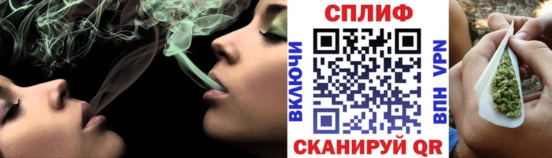 где продают наркотики  Дорогобуж  Бошки марихуана Ganja 